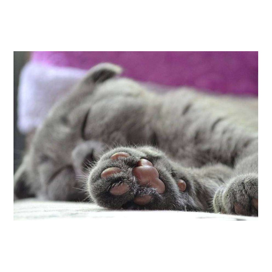 Protectores almohadillas y reparadores